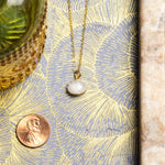 Moonstone 14K Gold Filled Oval Necklace Necklaces Soul & Little Rose